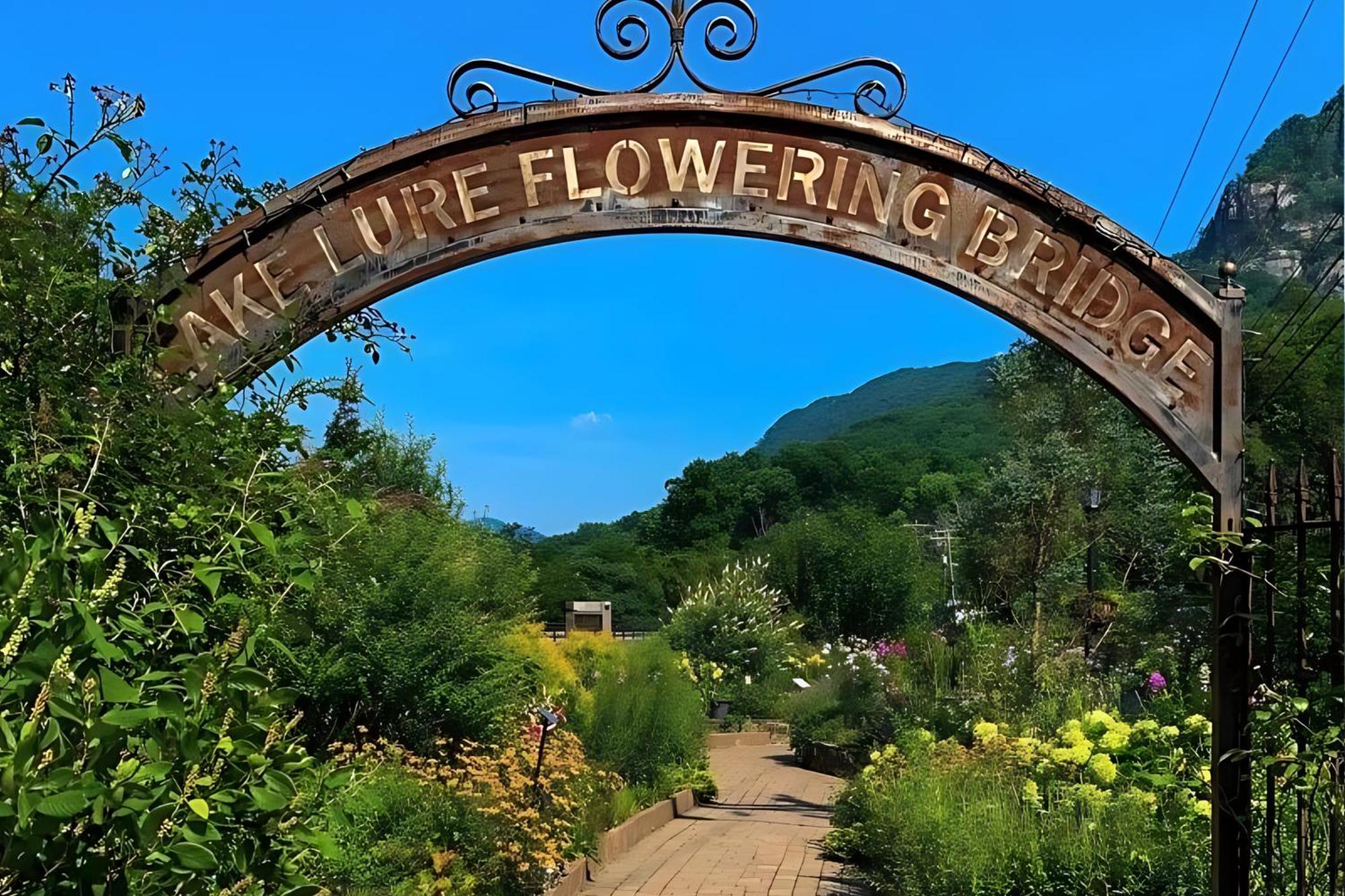 Dreaming Tree Of Lake Lure Villa Mill Spring Esterno foto